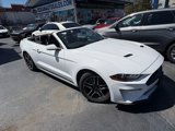 Used 2022 Ford Mustang Premium image 2
