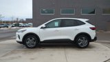 New 2025 Ford Escape ST-Line Select w/ Tech Pack #1 image 2