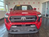 Used 2024 Toyota Tacoma SR5 image 2
