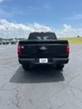 New 2025 Ford F150 STX w/ STX Black Appearance Package image 4