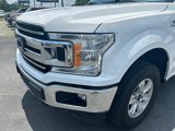 Used 2019 Ford F150 XLT w/ Equipment Group 301A Mid image 4