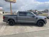 New 2025 Ford F150 XLT w/ Equipment Group 301A Standard image 4