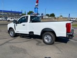 New 2025 Ford F250 XL image 4
