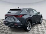 Used 2025 Lexus NX 350 AWD w/ Premium Package image 2