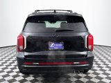 New 2025 Hyundai Palisade Calligraphy image 6