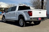 New 2025 Ford F150 XLT w/ Equipment Group 303A High image 3