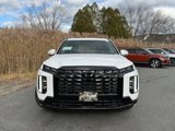 New 2025 Hyundai Palisade Calligraphy image 2