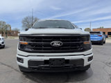 Used 2024 Ford F150 XLT image 4