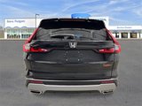 New 2026 Honda CR-V TrailSport image 5
