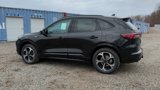 New 2025 Ford Escape ST-Line Elite w/ Premium Technology Package image 4