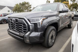 New 2025 Toyota Tundra Platinum image 2