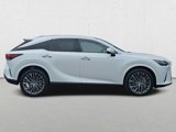 New 2025 Lexus RX 350 AWD w/ Convenience Package image 4