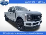 New 2025 Ford F250 XL w/ STX Appearance Package image 1