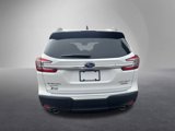 New 2025 Subaru Ascent Limited image 4