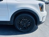 Used 2024 Kia Telluride SX X-Line image 3