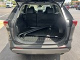 Used 2023 Toyota RAV4 Limited image 5