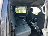 New 2025 Ford F150 XLT w/ Equipment Group 302A MID image 4