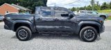 Used 2025 Toyota Tacoma TRD Sport image 3
