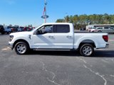 New 2025 Ford F150 XLT w/ Equipment Group 301A Standard image 4