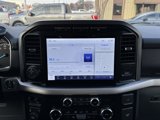 Certified 2023 Ford F150 XLT w/ Equipment Group 302A High image 3