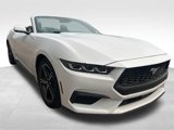 Used 2024 Ford Mustang Premium image 3