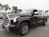 New 2025 Toyota Tundra 1794 Edition image 3