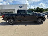 New 2025 Ford F150 STX image 4