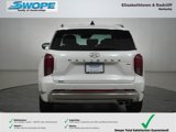 New 2025 Hyundai Palisade Calligraphy image 4