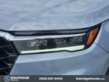 New 2025 Honda Pilot Elite image 6