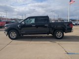 New 2025 Ford F150 XLT w/ Equipment Group 302A MID image 4