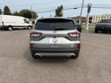 Certified 2022 Ford Escape SEL image 5
