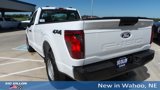 New 2025 Ford F150 XL image 3