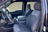 New 2025 Ford F150 STX image 6