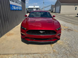 Used 2020 Ford Mustang Coupe image 2
