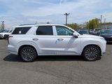 New 2025 Hyundai Palisade Calligraphy image 2