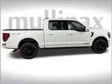 New 2025 Ford F150 Platinum image 2