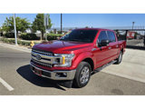 Used 2019 Ford F150 XLT w/ Equipment Group 302A Luxury image 3