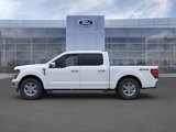 New 2025 Ford F150 XLT w/ Equipment Group 302A MID image 3