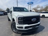 New 2025 Ford F250 Platinum image 3