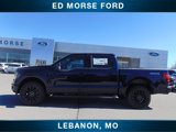 New 2025 Ford F150 XLT w/ Equipment Group 303A High image 2