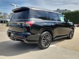 New 2025 INFINITI QX80 Autograph image 4