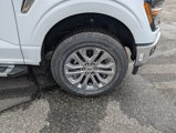 New 2025 Ford F150 XLT w/ Equipment Group 302A MID image 6