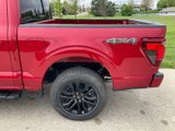 New 2025 Ford F150 XLT image 6