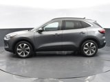 Used 2023 Ford Escape Platinum image 2