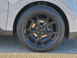 New 2025 Kia Carnival SX Prestige image 4