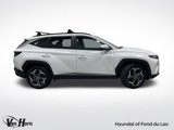 Used 2024 Hyundai Tucson SEL w/ Convenience Package image 2