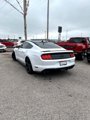 Used 2022 Ford Mustang GT Premium w/ Equipment Group 401A image 3