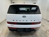 New 2025 Hyundai Santa Fe Calligraphy image 5
