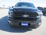 New 2025 Ford F150 Platinum image 2