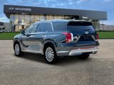 New 2025 Hyundai Palisade Calligraphy image 5